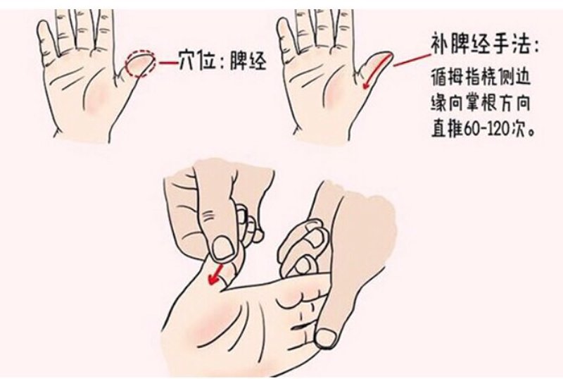中医儿科杂志：解读最新研究趋势与临床实践